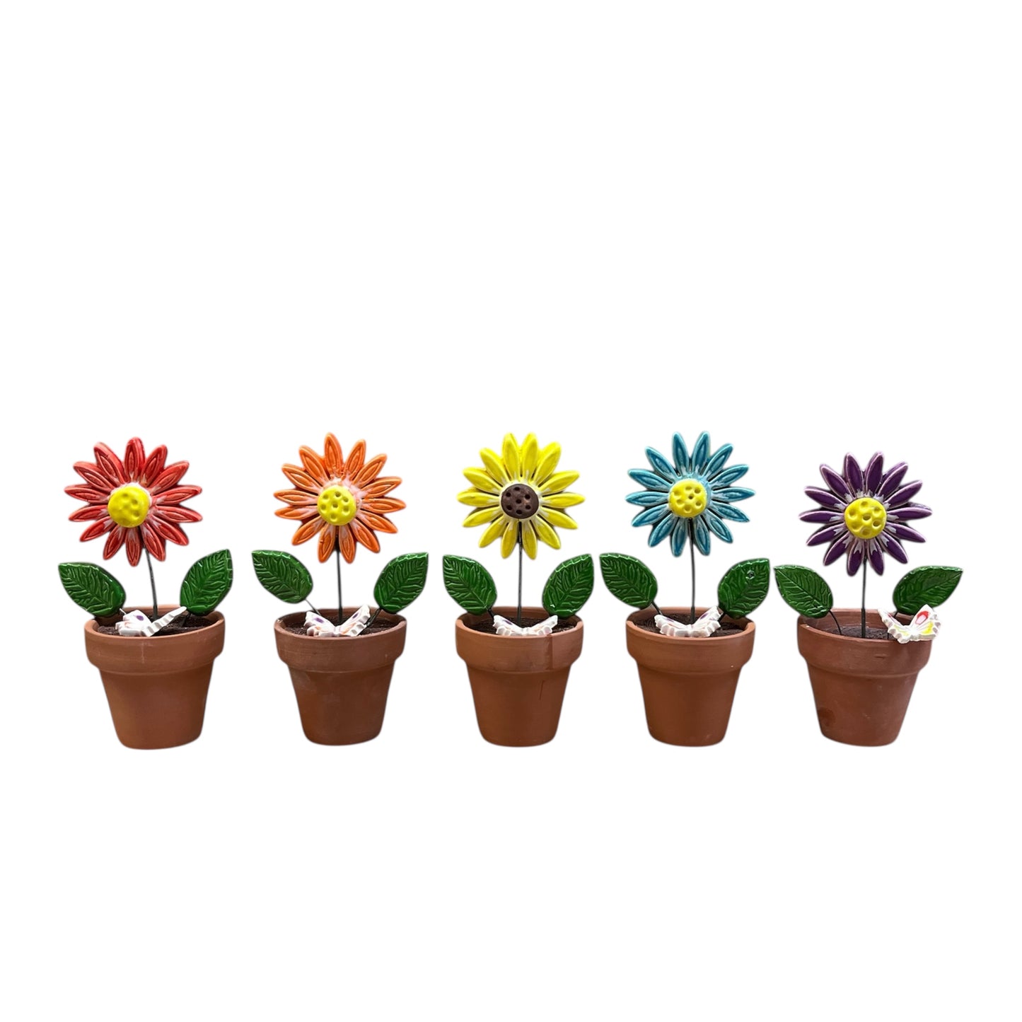 Ceramic Flower Pot Flower