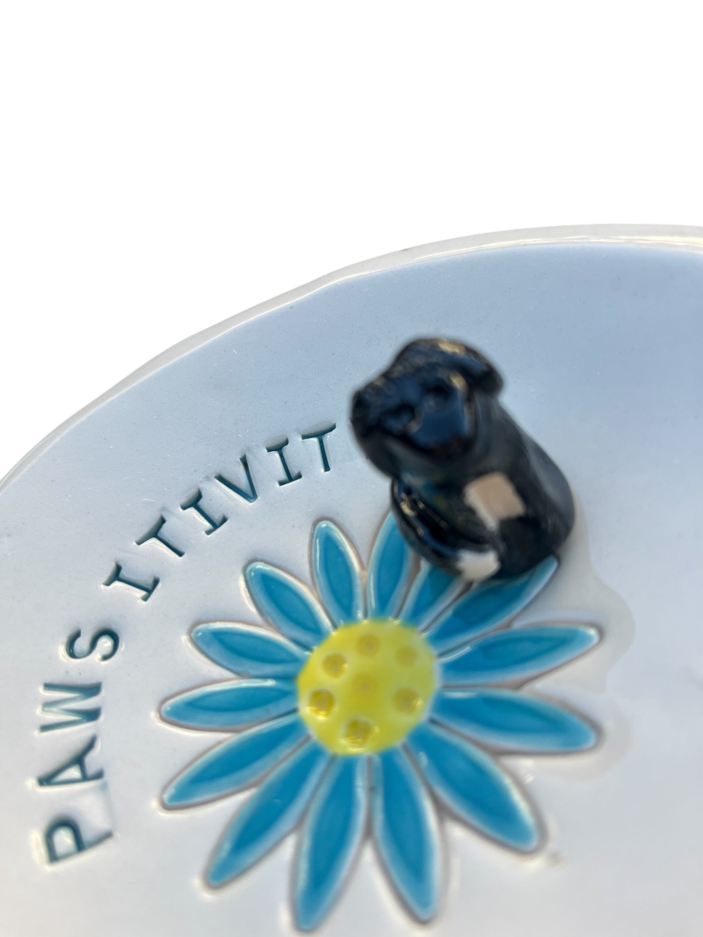 Pawsiitivity Trinket / Jewellery Dish